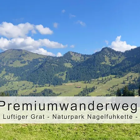 Fraeulein-fink - Alpsee 5 Min - Neue Grosszuegige Suedterrasse Mit Garten - Gratis Wlan - Waschmaschine - Garage Daire Oberstaufen